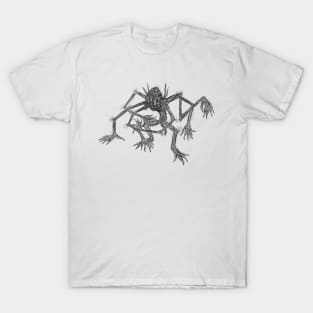 The Amygdala T-Shirt